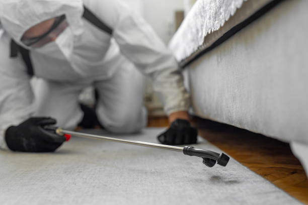 Professional Cockroach Control technician working in West Hammond, NM