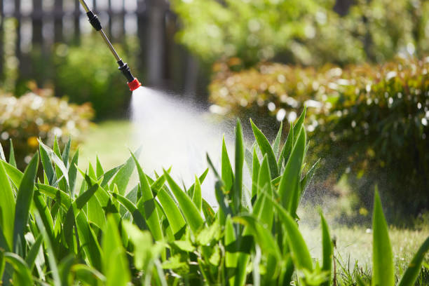 24/7 Emergency Cockroach Control experts in West Hammond, NM