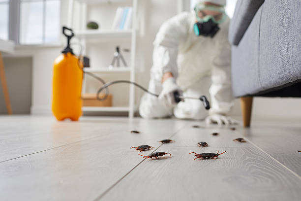 Trusted Fumigation Services service in West Hammond, NM - Nex Pest Control